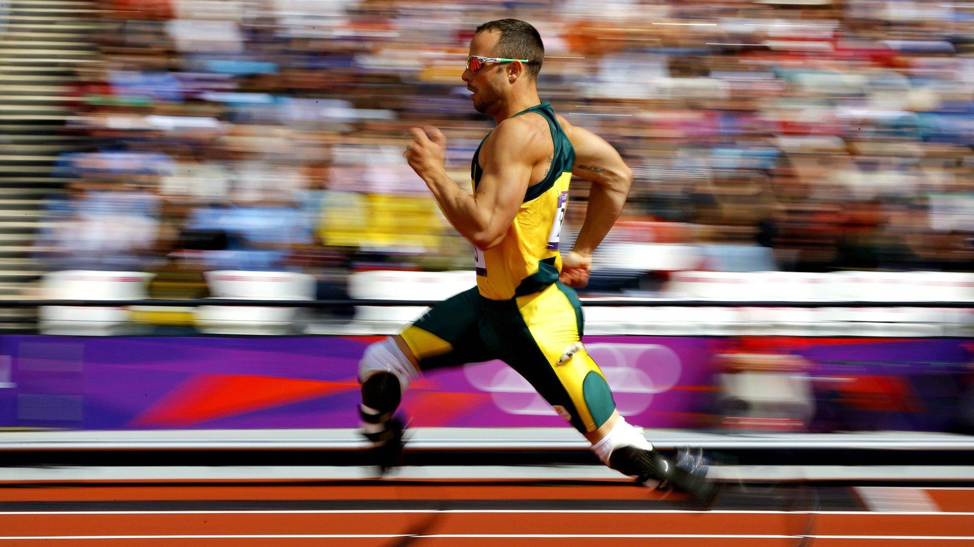 墨西哥马术协会与科技公司合作，开发虚拟现实训练平台，提升骑手技能。